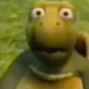 Meet your Posher, Brady